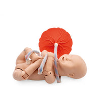 Primary Image Link