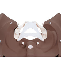 Primary Image Link