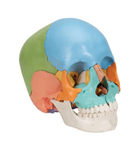 Primary Image Link