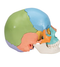 Primary Image Link