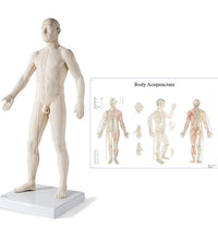 Primary Image Link