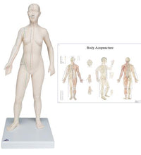 Primary Image Link