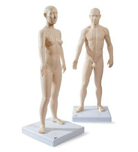 Primary Image Link