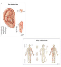 Primary Image Link