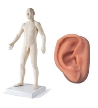 Primary Image Link