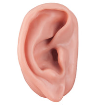 Primary Image Link
