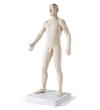 Primary Image Link