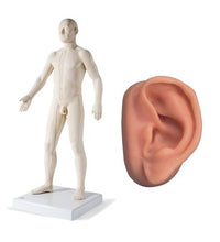 Primary Image Link