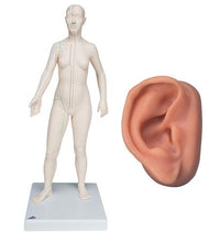 Primary Image Link
