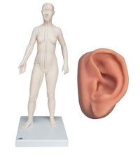 Primary Image Link