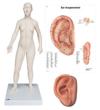 Primary Image Link
