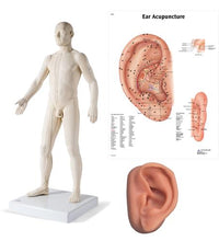 Primary Image Link