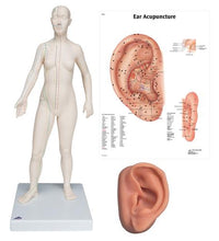 Primary Image Link