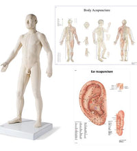 Primary Image Link