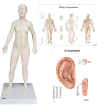 Primary Image Link