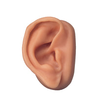 Primary Image Link
