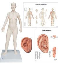 Primary Image Link