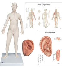 Primary Image Link