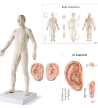 Primary Image Link