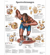 Primary Image Link