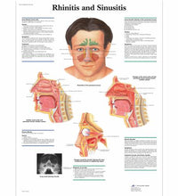 Primary Image Link