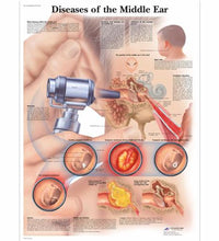 Primary Image Link