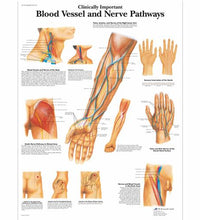 Primary Image Link