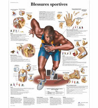 Primary Image Link