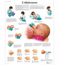 Primary Image Link