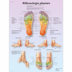 Riflessologia plantare