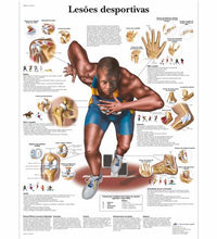 Primary Image Link