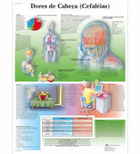 Primary Image Link