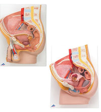 Primary Image Link
