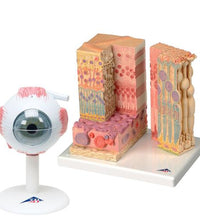 Primary Image Link