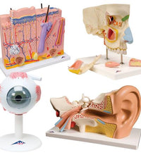Primary Image Link