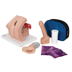 Contraceptive Set, Light