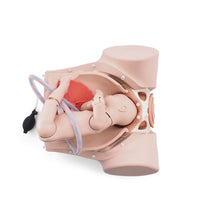 Primary Image Link