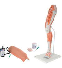 Primary Image Link