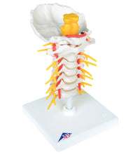 Primary Image Link