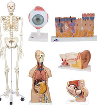 Primary Image Link