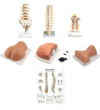 Primary Image Link