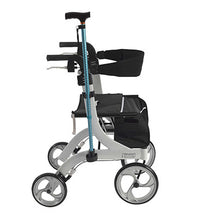 Primary Image Link