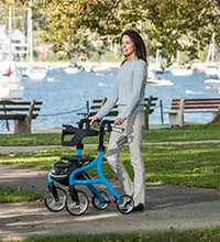 Primary Image Link