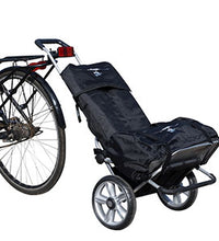 Primary Image Link