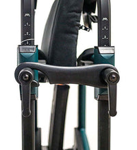 Primary Image Link