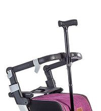 Primary Image Link