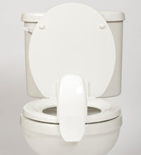 Primary Image Link