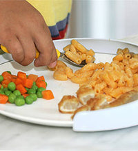 Primary Image Link