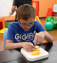Primary Image Link