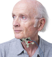 Primary Image Link